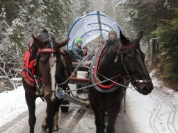 Kulig, 28.02.2025